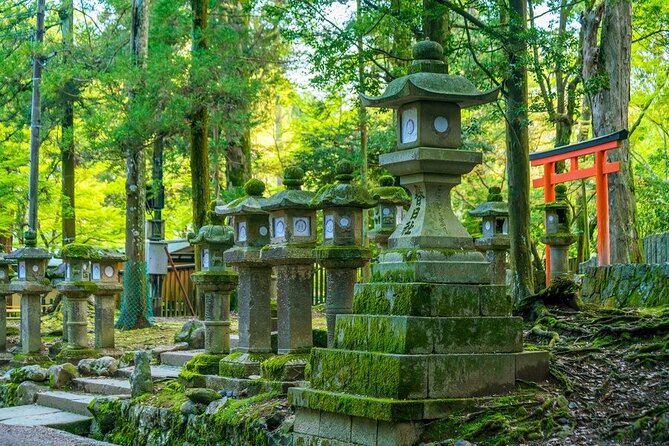 Explore the Best Spots of Arashiyama / Nara in a One Day Private Tour From Kyoto - Lunch at Local Restaurant