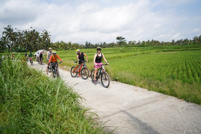 Explore Ubud With Electric Bike - Eco-Friendly Exploration in Ubud