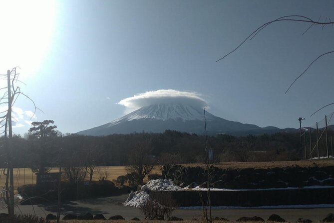 Exploring Mt Fuji Ice Cave and Sea of Trees Forest - Visitor Experience Insights