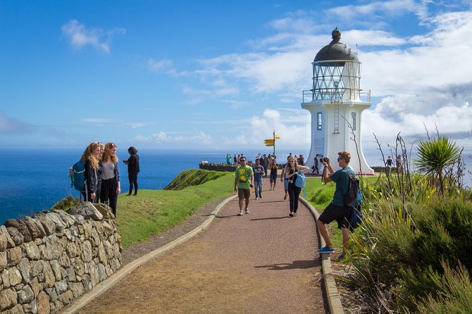 Far North New Zealand Tour Including 90 Mile Beach and Cape Reinga From Paihia - Minimum Traveler Requirements and Reviews