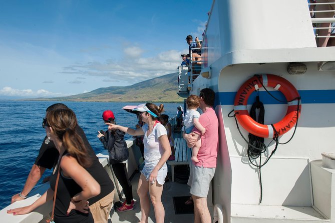 Favorite Oahu Whale Watch! (2 Hour Tour! Ala Wai Harbor, Oahu) - Whale Sightings and Encounters