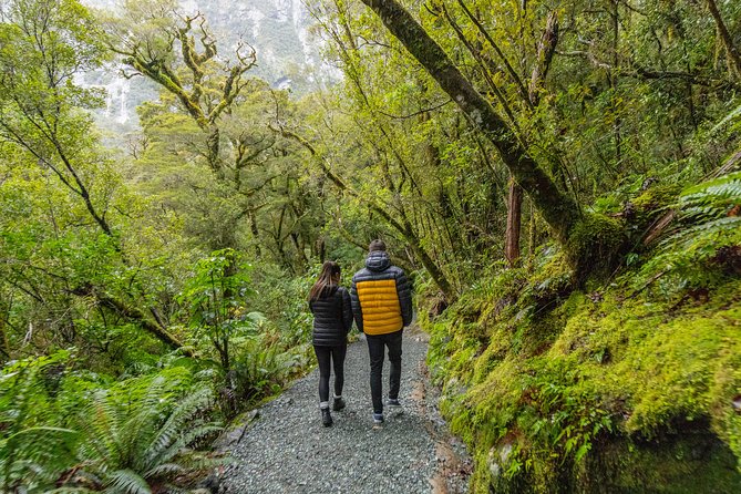 Fiordland National Park, Milford Sound Cruise From Queenstown - Visitor Experience and Testimonials