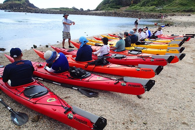 First Seakayak Tour - Common questions
