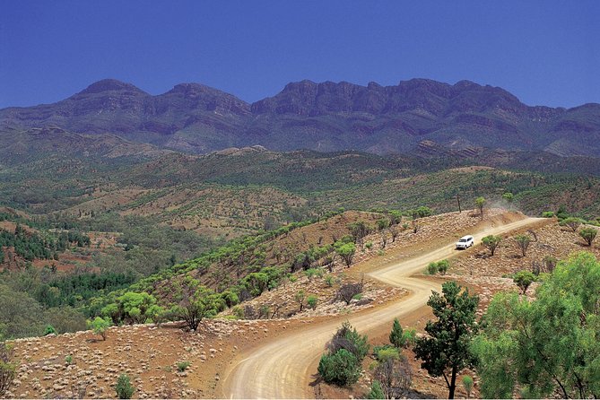 Flinders Ranges 3-Day Small Group 4WD Eco Tour From Adelaide - Understanding the Cancellation Policy