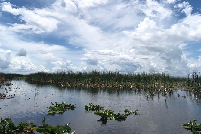 Florida Everglades Airboat Tour and Wild Florida Admission With Optional Lunch - Overall Visitor Experience