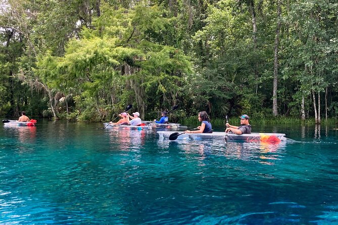 Florida: Silver Springs Small-Group Clear Kayaking Tour  - Orlando - Customer Experience