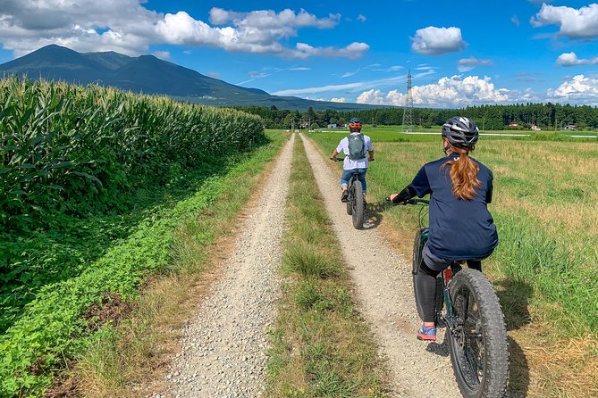 Forest Gravel Ride - Sum Up