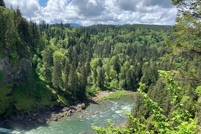 Forest Hike to Gorgeous Twin and Snoqualmie Falls - Booking Information