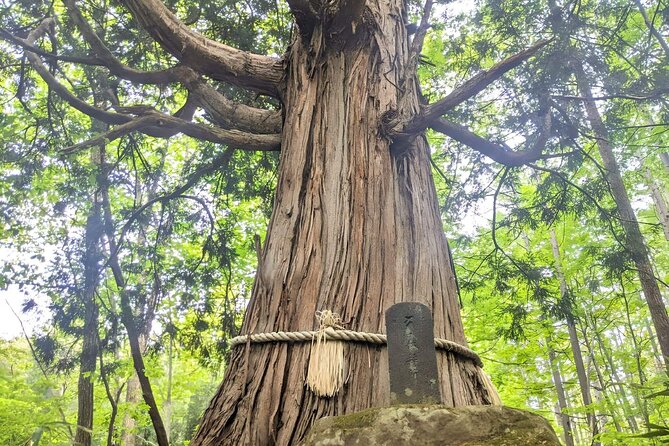 Forest Shrines of Togakushi, Nagano: Private Walking Tour - Booking Information