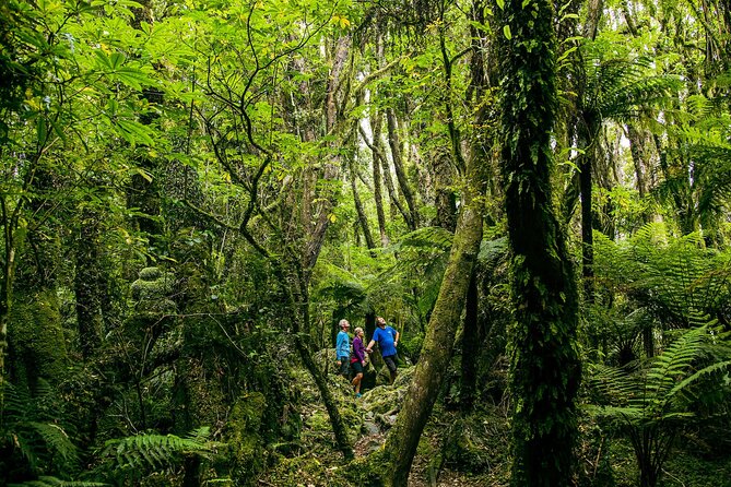 Fox Glacier Nature Tour - Host Responses