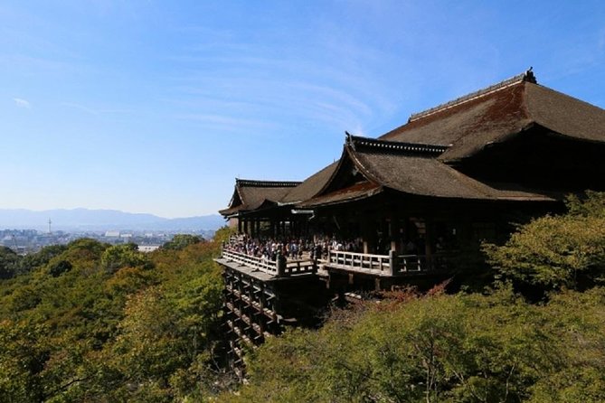 Free Choice of Itineraries Kyoto Private Tour - Pricing
