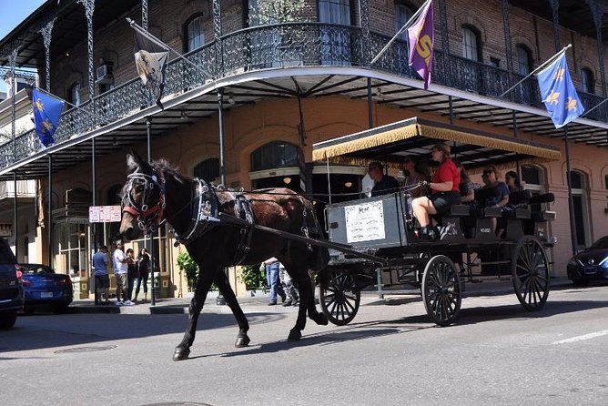 French Quarter and Marigny Neighborhood Carriage Ride - Experience Expectations