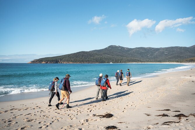 Freycinet National Park Walking Tour and Beach Picnic Lunch  - Coles Bay - Cancellation Policy Information