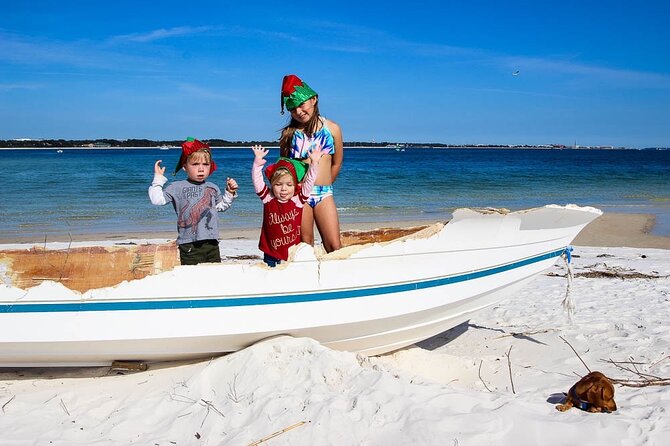 Frisky Mermaid Pontoon Boat Rentals in Pensacola Beach - Accessibility and Additional Information