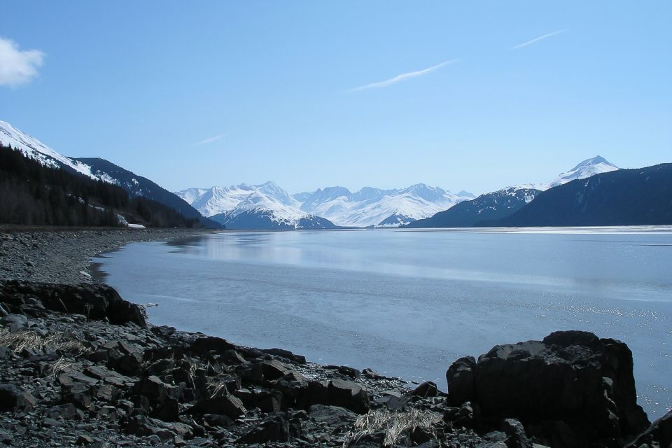 From Anchorage: Portage Glacier and Wildlife Full-Day Tour - Small Group Experience