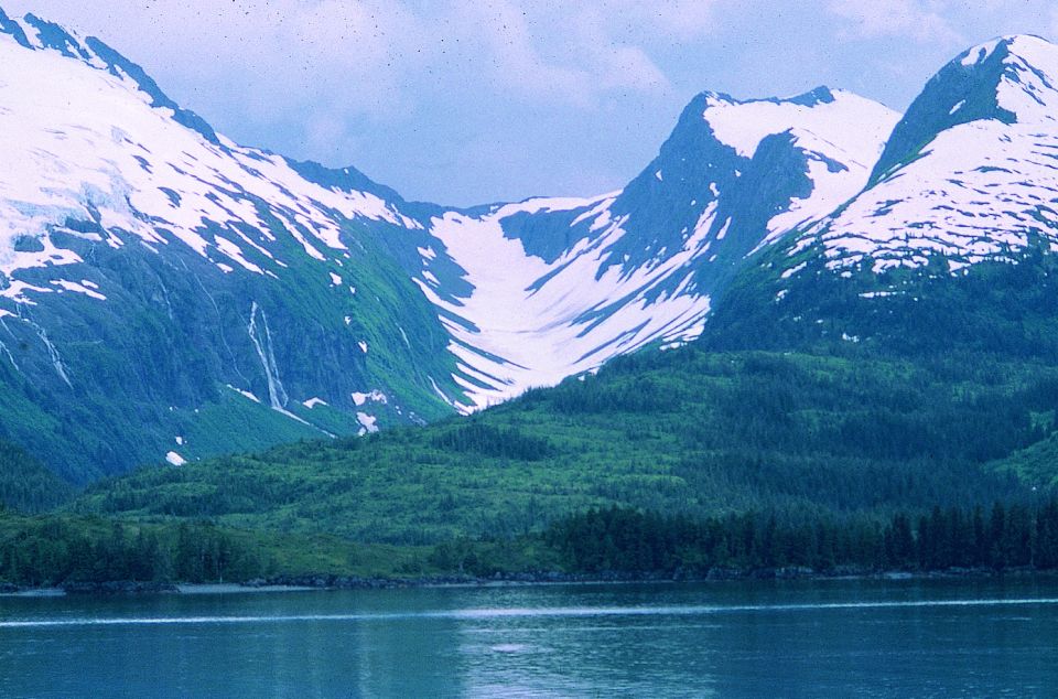 From Anchorage: Wilderness, Wildlife, & Glacier Experience - Learn From Knowledgeable Guides