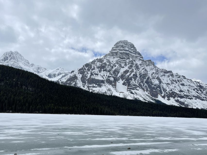 From Banff: Icefield Parkway Scenic Tour With Park Entry - Wildlife Encounter Tips
