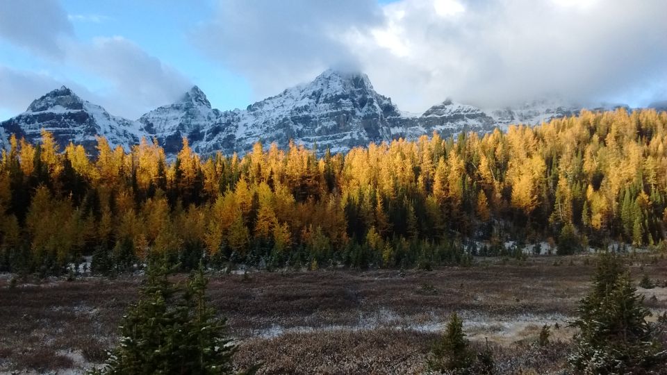 From Banff or Lake Louise: Moraine Lake & Larch Valley Hike - Return and Transfer