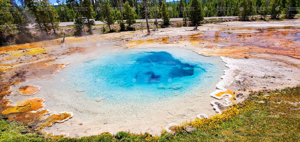From Bozeman: Yellowstone Full-Day Tour With Entry Fee - Enjoying Yellowstone National Park