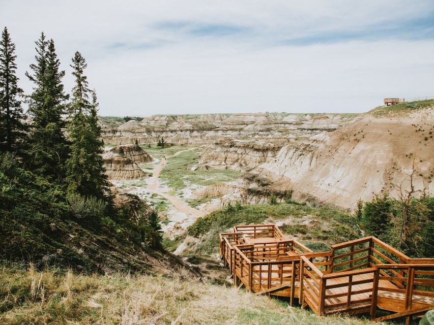 From Calgary: Guided Day Tour to Drumheller - Customer Reviews