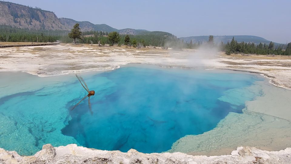 From Cody: Full-Day Yellowstone National Park Tour - Snacks, Water, and Comfort