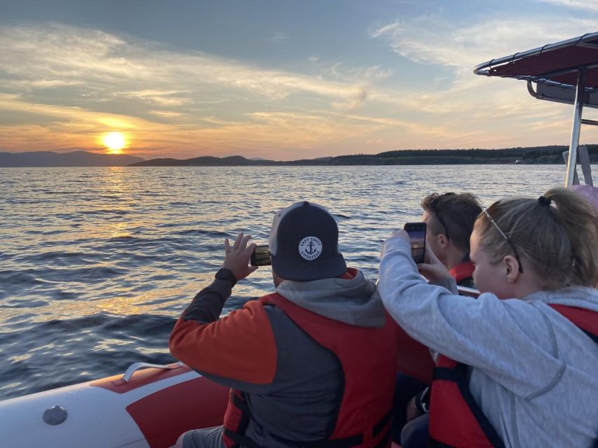From Corner Brook : Bay Of Islands Island Zodiac Boat Tour - Directions