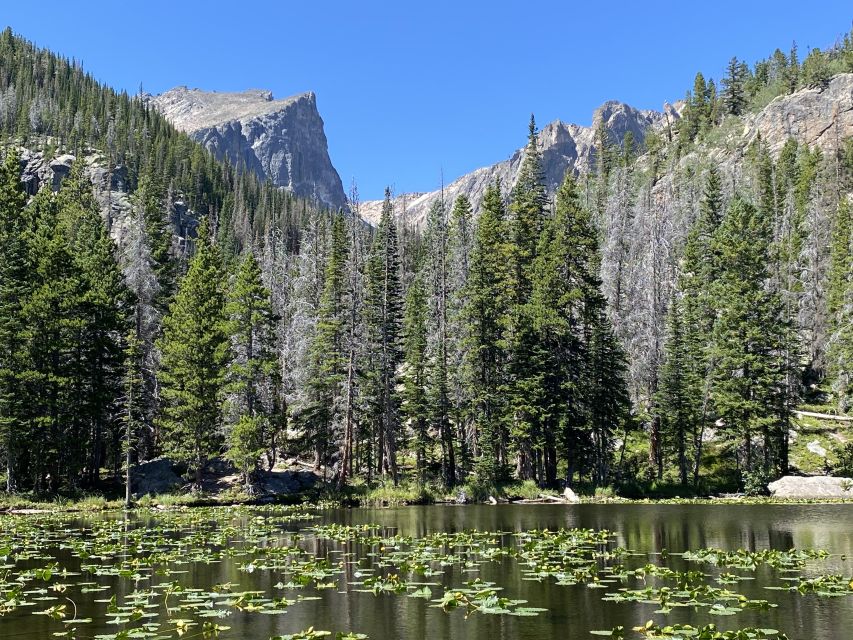 From Denver: Rocky Mountains Jeep Tour With Picnic Lunch - Traveler Reviews