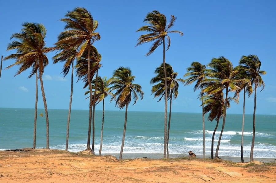 From Fortaleza: Lagoinha Beach Day Trip - Location and Logistics