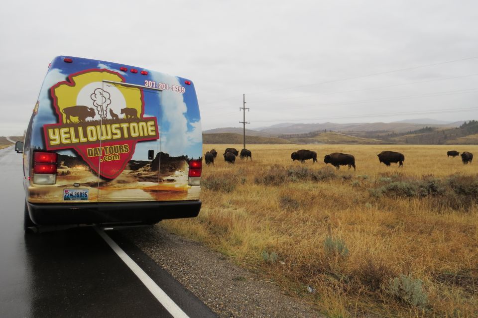 From Jackson: Yellowstone Day Tour Including Entrance Fee - Customer Reviews