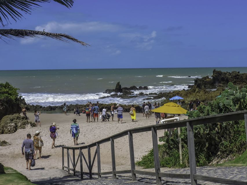 From João Pessoa: Full-Day Southern Coast Beaches Tour - Customer Reviews