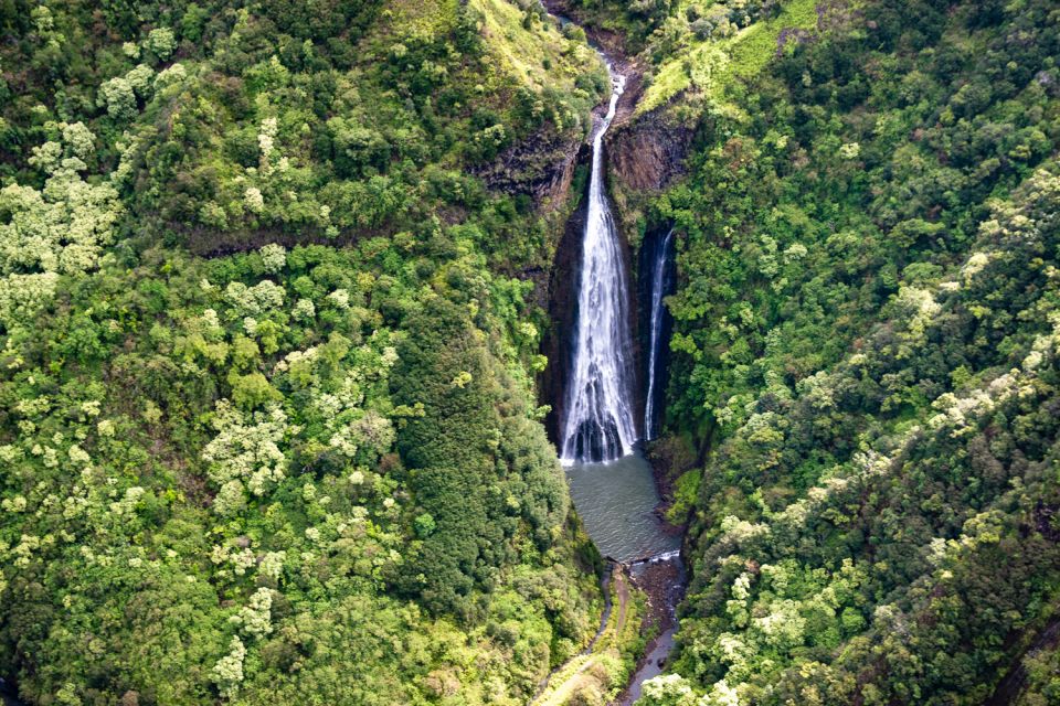 From Lihue: Experience Kauai on a Panoramic Helicopter Tour - Important Information