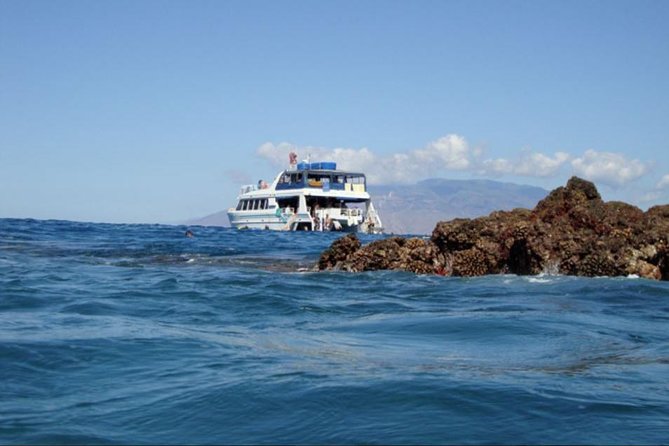 From Maalaea Harbor: Whale Watching Tours Aboard the Quicksilver - Overall Experience