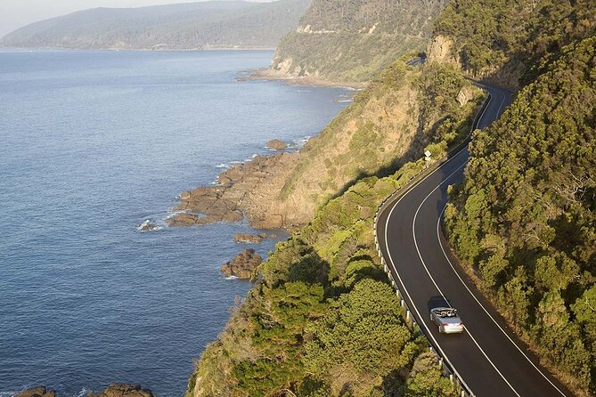 From Melbourne: Great Ocean Road 1-Day Tour - Customer Feedback