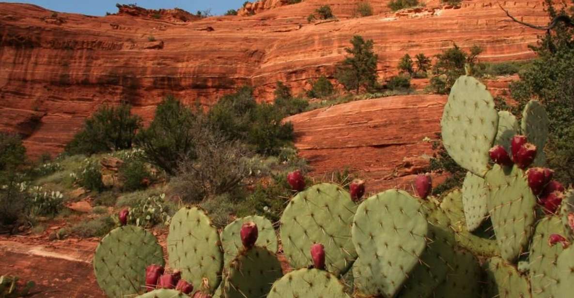 From Phoenix: Full-Day Sedona Small-Group Tour - Pickup Details and Options