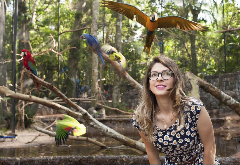 From Puerto Iguazú: Brazilian Bird Park Tour With Tickets - Customer Reviews