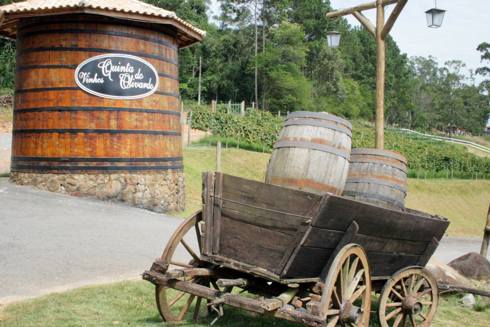 From São Paulo: São Roque Wineries Route and Shopping Tour - Transportation and Guide Details