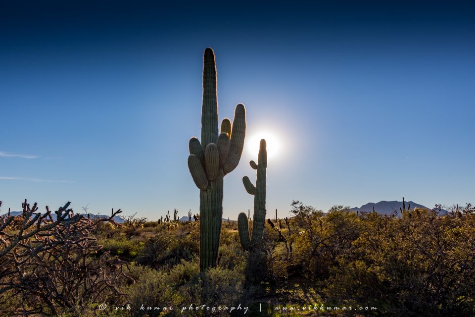 From Scottsdale: Sonoran Desert & Tonto National Forest Trip - Common questions