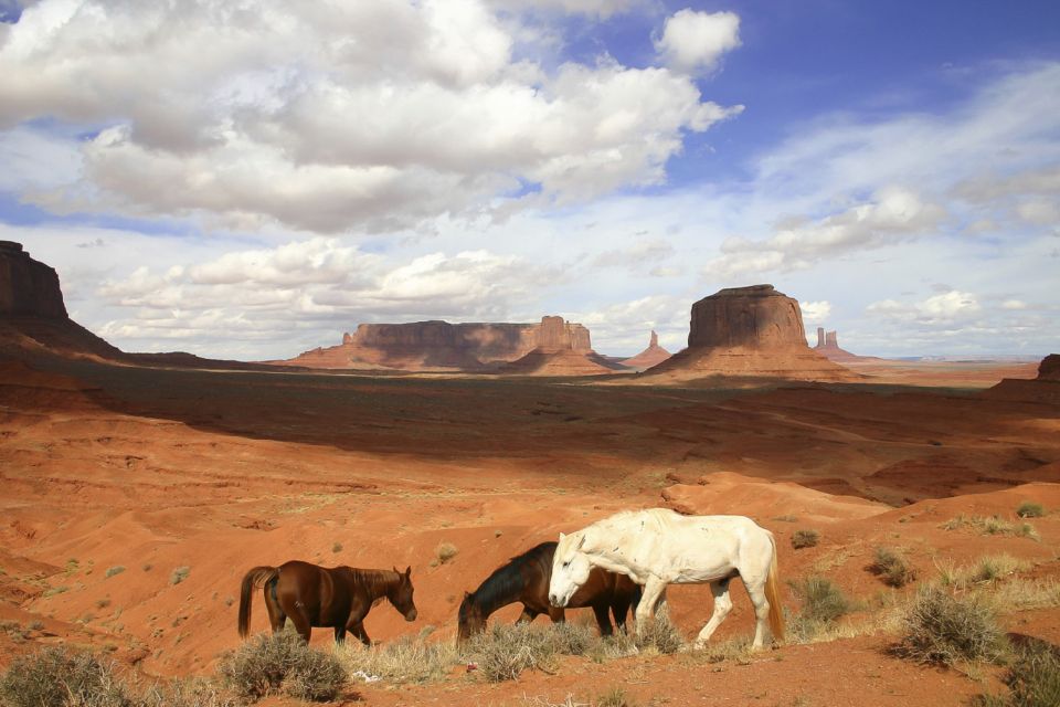 From Sedona or Flagstaff: Full-Day Monument Valley Tour - Customer Reviews and Recommendations