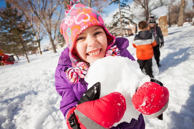 From Seoul: Winter Nami Island Guided Tour With Snow Sliding - Booking Information