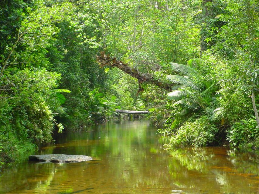 From Siem Reap: Small-Group Phnom Kulen Waterfall Day Tour - Tour Highlights