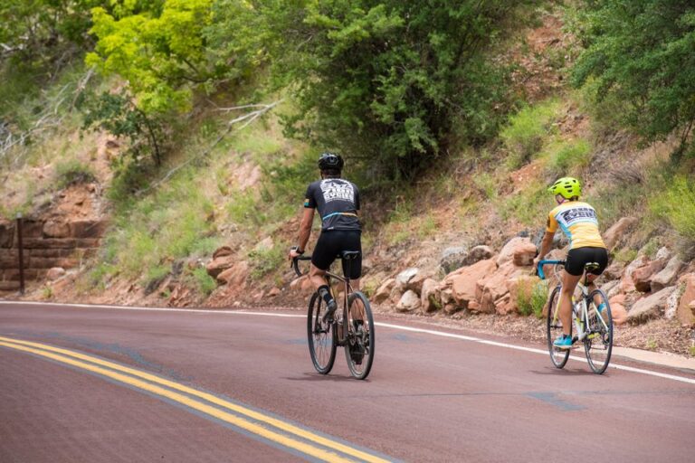 From Springdale: Zion National Park Bike Tour