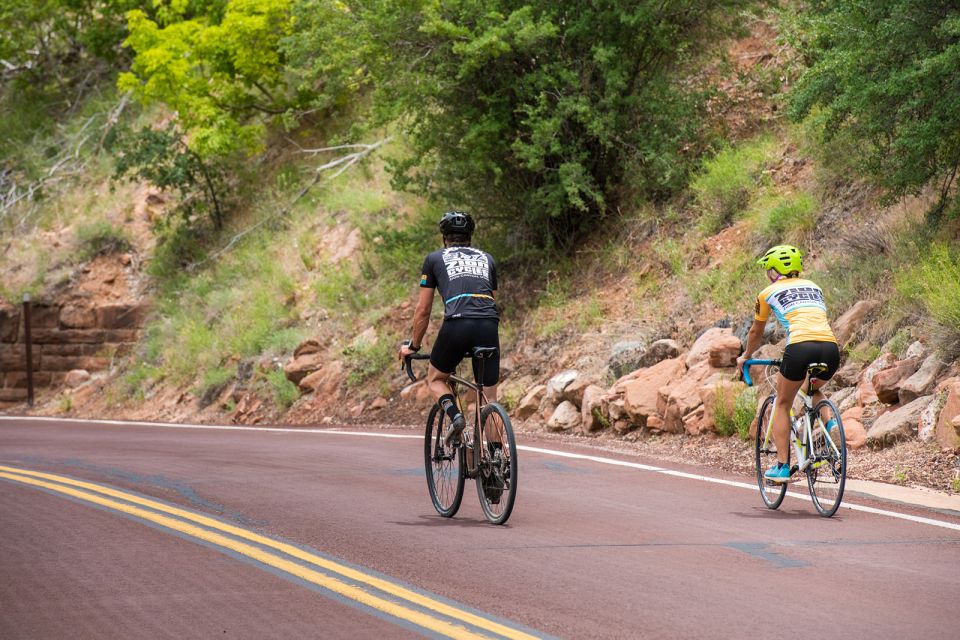 From Springdale: Zion National Park Bike Tour - Activity Details