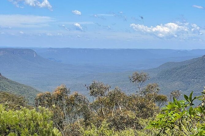From Sydney: Blue Mountains & Featherdale - Day Tour - Wildlife Encounters