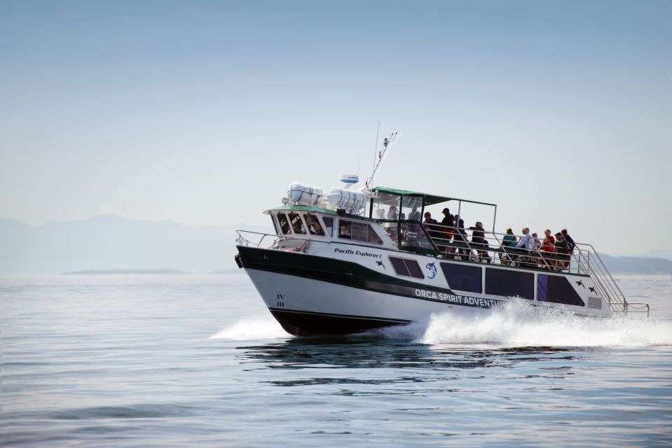 From Victoria: Whale Watching 3-Hour Trip on Covered Boat - Sum Up