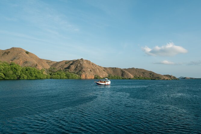 Full-Day Adventure Tour to Komodo Island With Join Speed Boat Tur - Operational Information