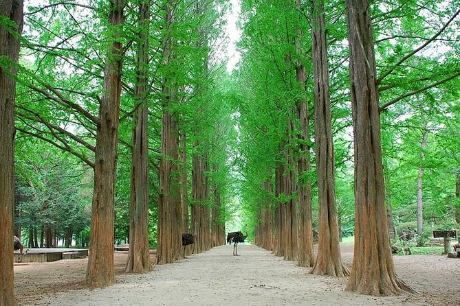 Full-Day Customizable Private Tour to Nami Island and Surrounding Area - Customer Reviews Analysis