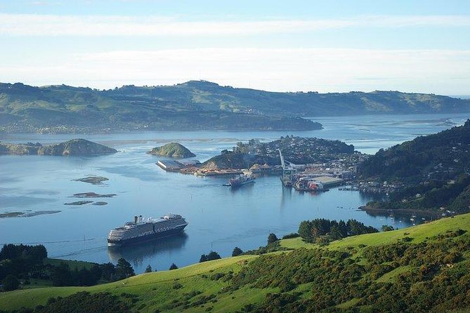Full-Day Dunedin Tour From Cruise Port  - Port Chalmers - Start and End Points