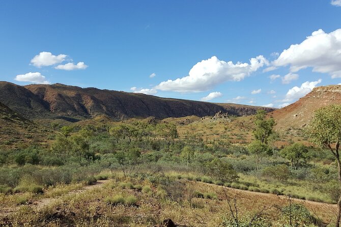 Full-Day East MacDonnell Ranges VIP Private Tour - Common questions
