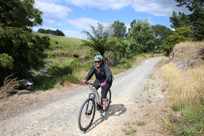Full Day Ebike Tour in Karangahake Gorge (ex Auckland) - Customer Experience