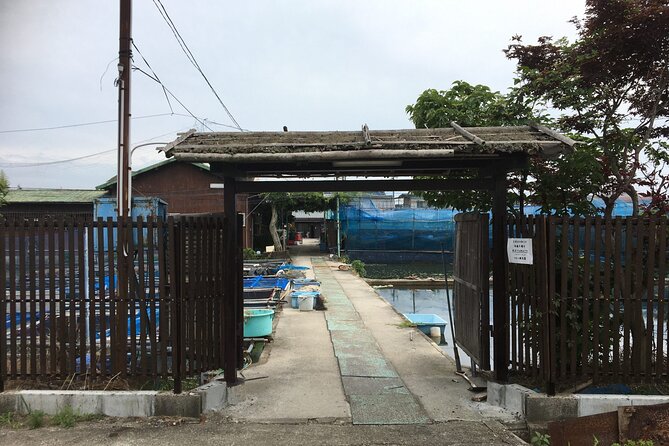 Full-Day Goldfish Unique Experience in Yamato-Koriyama, Nara - Customer Support